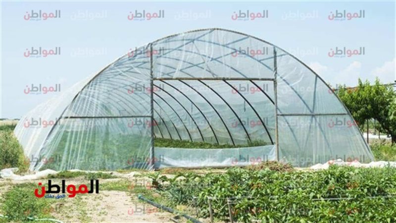 الصوب الزراعية وتحقيق