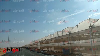 قبل ما تزرع.. اعرف أنواع هياكل الصوب الزراعية