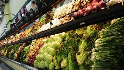 شعبة الخضروات: الصوب الزراعية تخفض أسعار الخضروات بنسبة 30% 