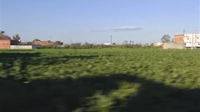 قرية كوم جعيف التراثية بالبحيرة تشكو من الإهمال وتردي الخدمات فيها