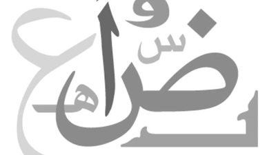   صالون 