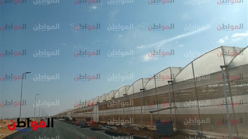  أنواع هياكل الصوب