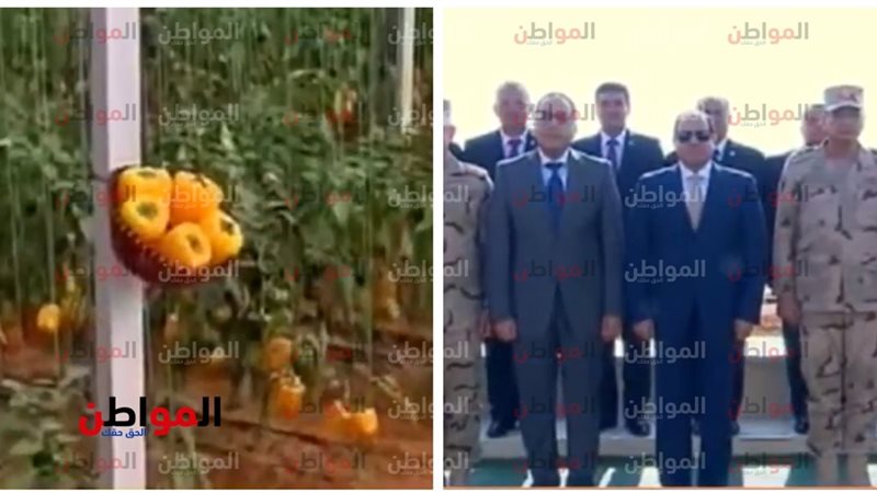 الرئيس السيسي والصوب