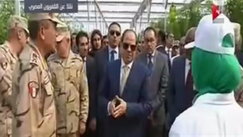 الرئيس السيسى ومسئولة