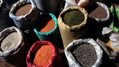  مفاجأة لمزراعى مصر خلال عامين فقط.. تعرف عليها 