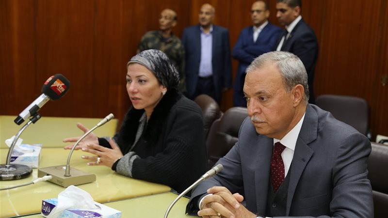 محافظ قنا 