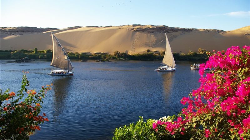 أهم ما يحدث في المحافظات