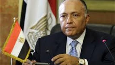 اليوم.. جلسة مباحثات بين وزير الخارجية المصري والصومالي