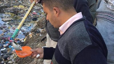 صحة بني سويف تواجه خطر انتشار حشرات الباعوض بالرش 