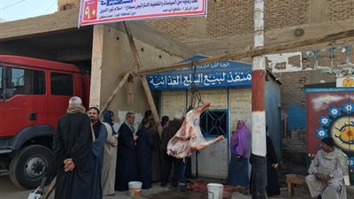 صور.. مستقبل وطن يطلق مبادرة لبيع اللحوم البلدية المخفضة في 4 مراكز بسوهاج