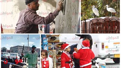 حكايات مصر الحلوة الشقيانة .. المحارة هندسة والأطفال يشتاقون إلى بابا نويل