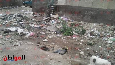 صور.. أهالى مساكن التبة ببياض العرب ببني سويف يشكون تراكم القمامة بالشوارع