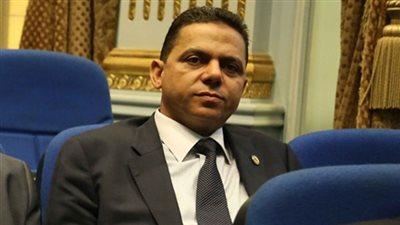   فيديو.. البرلمانى إيهاب الغطاطى: زيادة 30% من إنتاج الأسماك فى مصر بسبب بركة غليون 