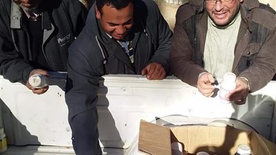 ضبط 39 عبوة مبيدات وٲسمدة مخالفة في بني سويف