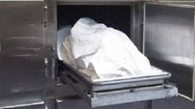 مصرع فلاح وإصابة 2 من أبنائه في مشاجرة بكفر الشيخ