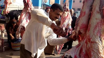 أسعار اللحوم والفراخ والأسماك والبيض بأسواق بني سويف