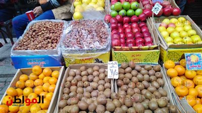  أسعار الفاكهة فى سوق العبور.. تعرف عليها 