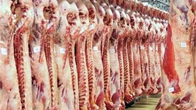 استقرار اللحوم في نشرة أسعار الاثنين 31 ديسمبر 2018 