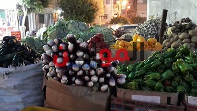 أسعار الخضروات والفاكهة بأسواق الإسكندرية اليوم الثلاثاء