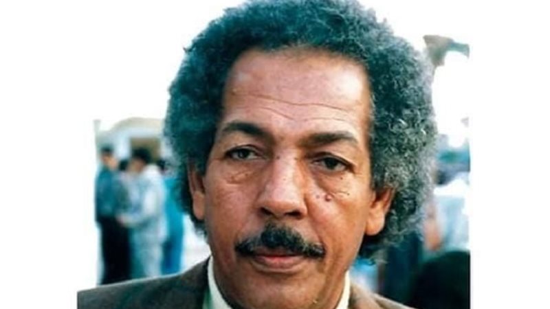 الناقد محمد أبو دومة