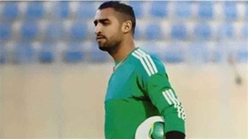 عامر عامر