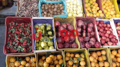 أسعار الخضروات والفاكهة بأسواق كفر الشيخ اليوم الأربعاء