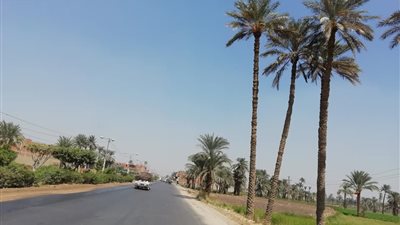 فيديو | طموحات وآمال الفيومية من 2019