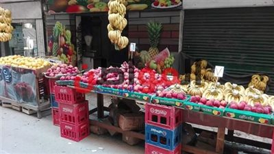 استقرار أسعار الخضروات بأسواق بني سويف اليوم الخميس