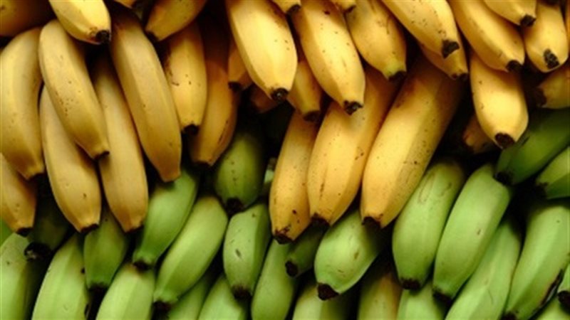 أسعار الموز 