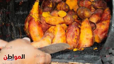 البطاطا وحمص الشام.. أشهر الأكلات الشتوية في سوهاج