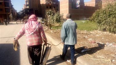 50 مصيدة للقضاء على الفئران بمنطقة المحلج ببني سويف