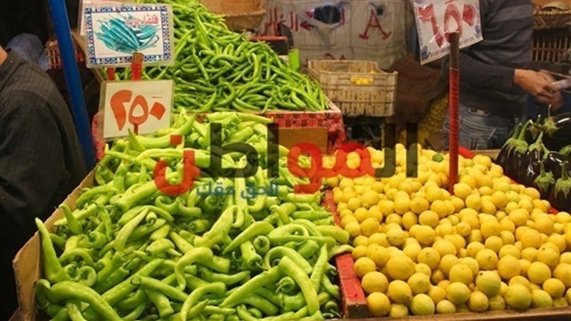 أسعار الخضروات اليوم