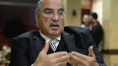 فيديو.. النائب مجدى علام: الوعي والتربية الحل الأول لمشكلة القمامة 