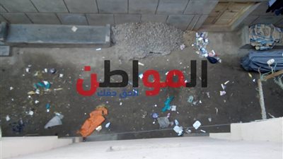 صور .. عواصف ترابية باردة في محافظة الغربية اليوم الأحد