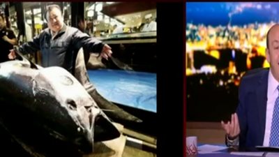 عمرو أديب عن بيع سمكة تونة بـ 3.1 مليون دولار: ما تولع 