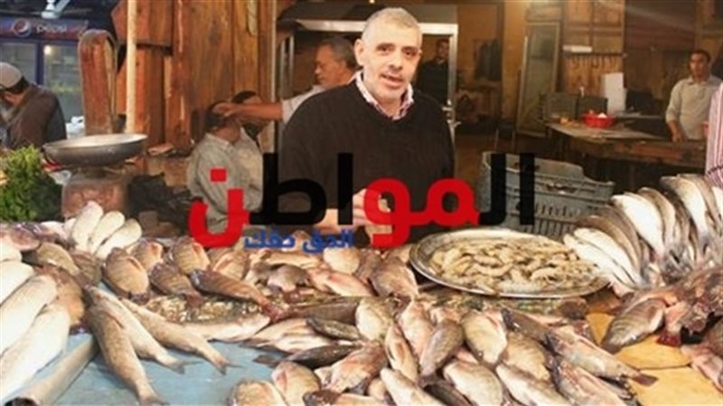 أسعار الأسماك 