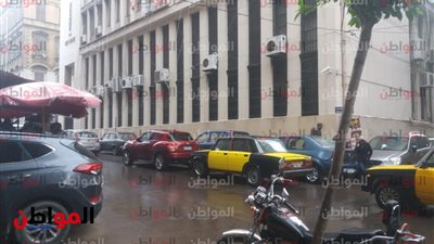 اقتلاع أشجار وغلق محال تجارية في الإسكندرية بسبب الطقس 