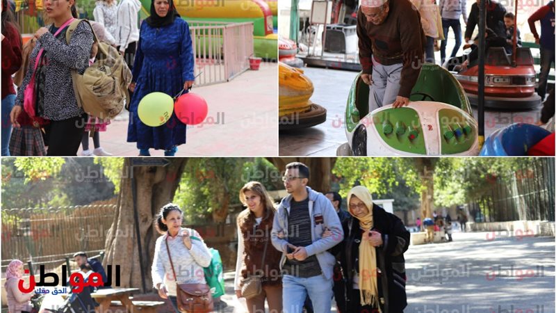  مسنون يتصدرون مشهد