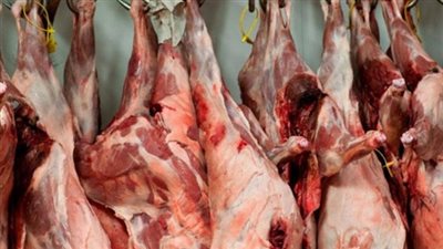 بيطري المنيا يحرر 11 محضرا ويضبط 382 كيلو لحوم فاسدة
