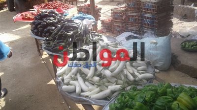 سعر الطماطم والبطاطس بأسواق بني سويف.. تعرف عليها