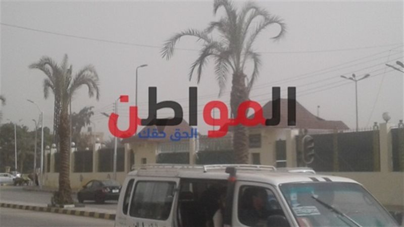 المواطن