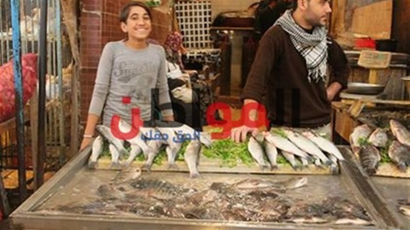 سعر السمك