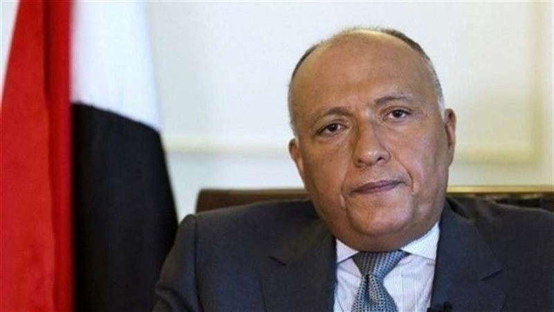 وزير الخارجية المصري