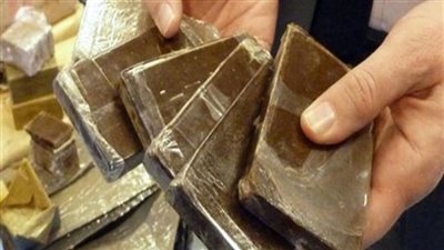 ضبط عاطلين يتاجران في المخدرات بمحافظة القليوبية 