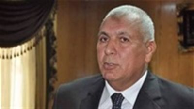 للاستفادة منها.. محافظ الوادي الجديد: حصر الأراضي المخصصة صوب زراعية
