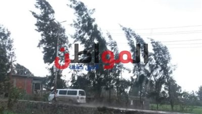 تعرف على حالة الطقس بالغربية اليوم الأربعاء