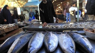 سعر السمك في سوق العبور اليوم الخميس 10 يناير 2019