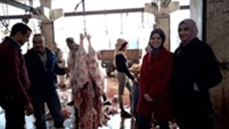 مديرية الطب البيطري