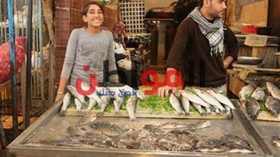 استقرار سعر الأسماك بأسواق الإسكندرية اليوم السبت