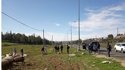 مستوطنون صهاينة يعتدون على رعاة أغنام فلسطينيون لهذا السبب